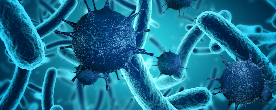 Mikrobiologie PCR