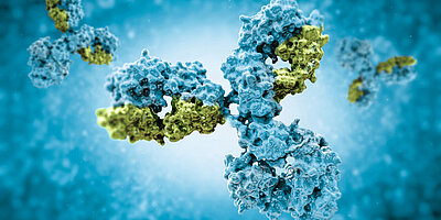 Immunologische Stuhltests