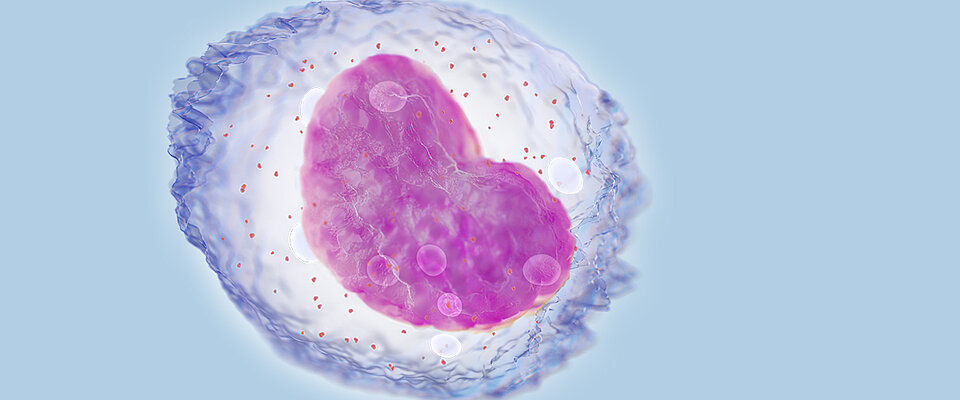 Reactive monocytes 