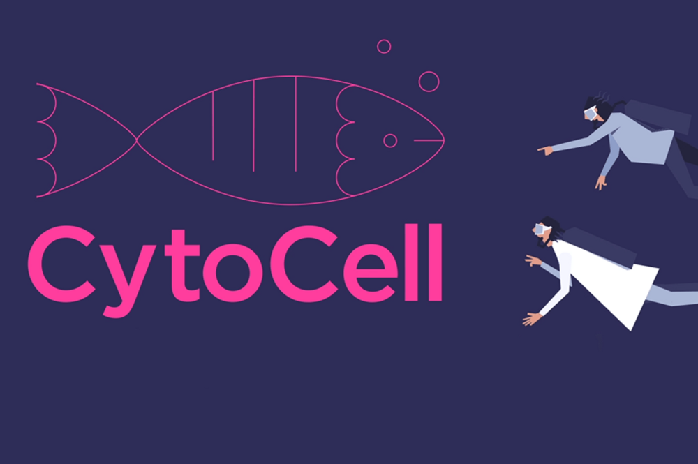 Online-Grundkurs zum CytoCell FISH-Protokoll von OGT